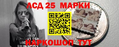 гашик Моздок