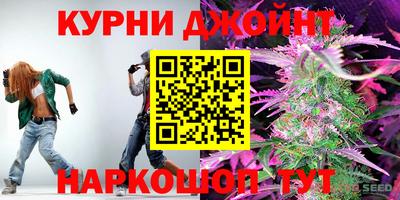дмт Можга