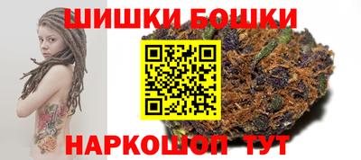 гашик Моздок