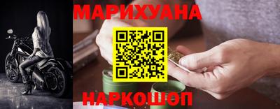 гашик Моздок