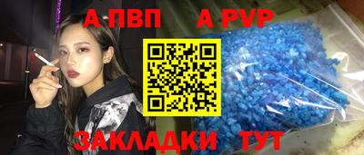 гашик Моздок