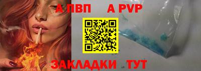 гашик Моздок